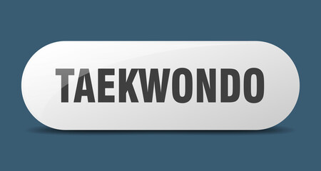taekwondo button. sticker. banner. rounded glass sign
