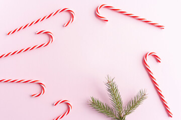 Christmas composition. Christmas candy canes and fir branches flat lay, top view on pastel pink background.Holiday festive celebration greeting card with copy space fo text. Christmas background with