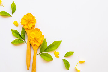 yellow flowers cosmos on wooden spoon with leaf arrangement flat lay postcard style on background white 