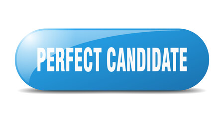 perfect candidate button. sticker. banner. rounded glass sign