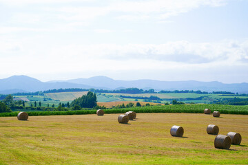 牧草ロールと北海道の大地