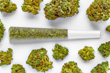 A Pre-Roll Cannabis joint on a white surface with Several cannabis flowers around. - obrazy, fototapety, plakaty