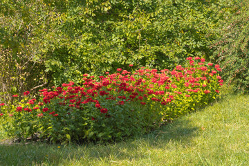 Landscape photos taken in the state Lermontov Museum-reserve Tarkhany