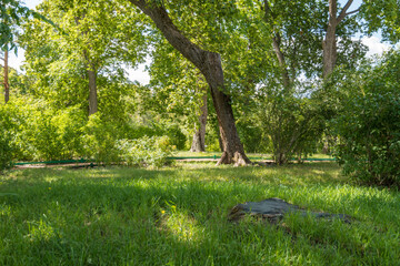 Landscape photos taken in the state Lermontov Museum-reserve Tarkhany