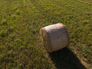 Round straw bale on the field