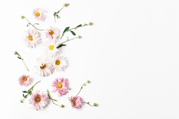 floral concept. beautiful frame of flowers buds and leaves of chrysanthemums on a white background. flat lay, copy space