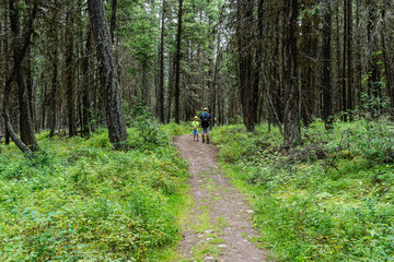 Empty hiking trail in the Paul Lake Provincial Park British Columbia Canada.