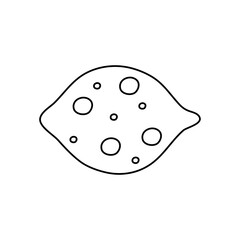 pine nut icon, line style