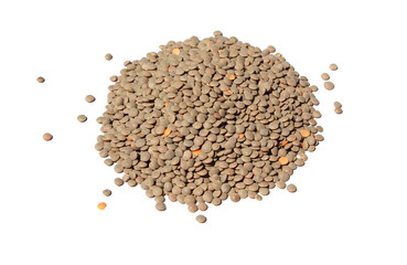 Lentils isolated on white background . bean. soy
