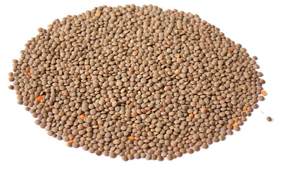 Lentils isolated on white background . bean. soy
