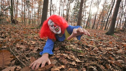 Halloween holiday. A scary evil clown crawls through the autumn foliage and stretches out his...