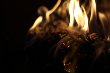 A closeup shot of warm fire on a log in a fireplace, establishing a cozy environment