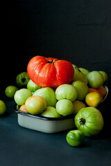 large bunch of green tomatoes in water drops and one red ripe vegetable on top, image of vegetables on a dark background, vertical, selective focus