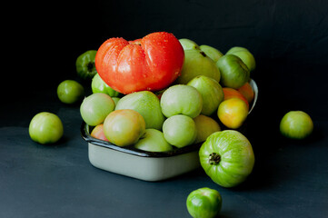 large bunch of green tomatoes in water drops and one red ripe vegetable on top, image of vegetables on a dark background, selective focus