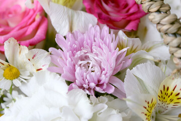 close up pink Chrysanthemum flower in another flower background. 