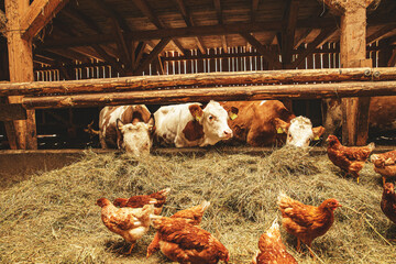Natural rural agricultural organic farm © Grafvision