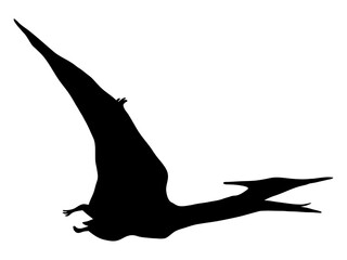 プテラノドン_シルエット