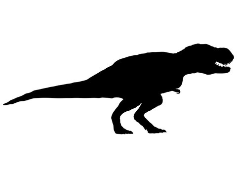 ティラノサウルス Images Browse 443 Stock Photos Vectors And Video Adobe Stock