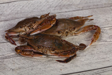 Raw crab - ready for cooking
