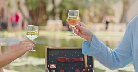 Girlfriends making toast celebrating lunch party drinking wine or champagne sitting at the pond in green garden while enjoying outdoor picnic. Slow motion of friend on beautiful summer day outdoor 4k