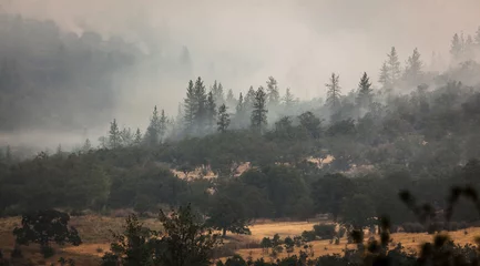 Papier Peint photo autocollant Forêt dans le brouillard Wild fires near highway 62 in Eagle Point Oregon, September 9 2020