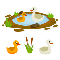 Ducks in the pond. Chicken swims in lake. Animal in wild and forest. Mother and yellow child of a bird in water. Flat cartoon.