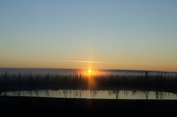 A morning in the wetland
