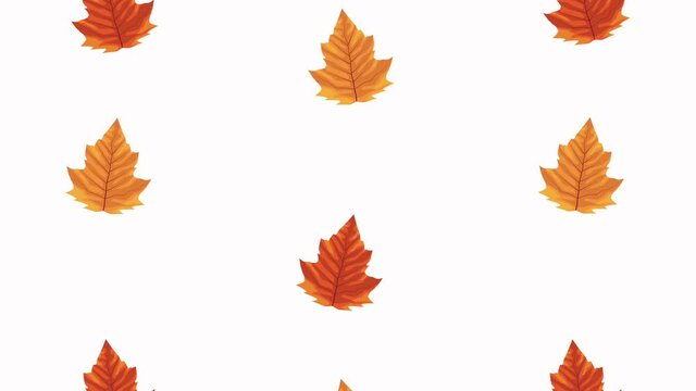 hello autumn animation with leafs pattern