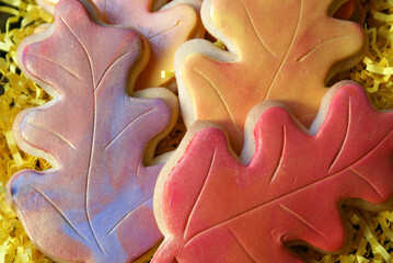 Fototapeta na wymiar Autumn Fall Decorated Cookies