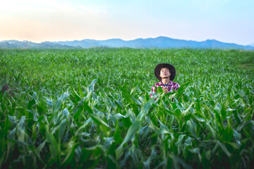 Young farmer praying in corn fields, Agriculture christian concept.