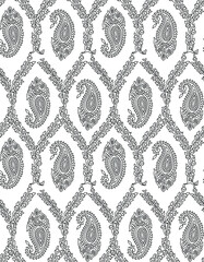 traditional Indian paisley pattern on outline 