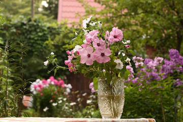 pink and white flowers bouquet in crystal vase close up photo