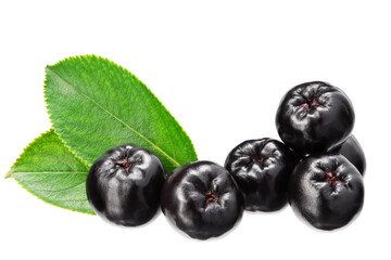 Chokeberry with green leaves isolated on white background. Clipping path and full depth of field