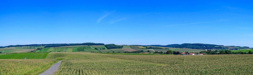 corn fields in lower austria