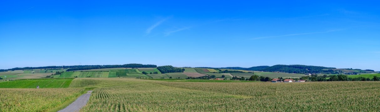 corn fields in lower austria