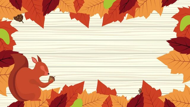 hello autumn animation with squirrel and leafs in wooden background