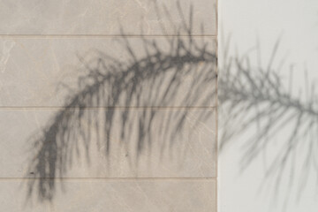 Palm tree shadows on the wall cold and warm. High quality photo