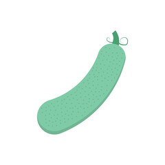 vegetable
