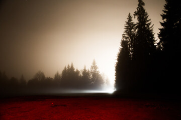 Mystik im Nebel, ankommendes Auto erhellt den Wald, Bremslicht färbt Boden rot