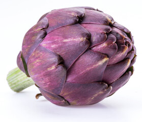 Artichoke flower, purple edible bud isolated on white background.