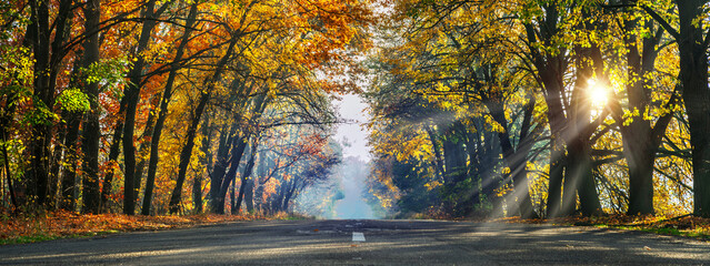 Fototapeta na wymiar Beautiful autumn landscape with the road and the sun's rays of the setting sun.