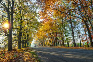 Beautiful autumn landscape with the road and the sun's rays of the setting sun.