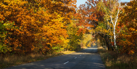 Naklejka na ściany i meble Beautiful autumn landscape with the road and the sun's rays of the setting sun.