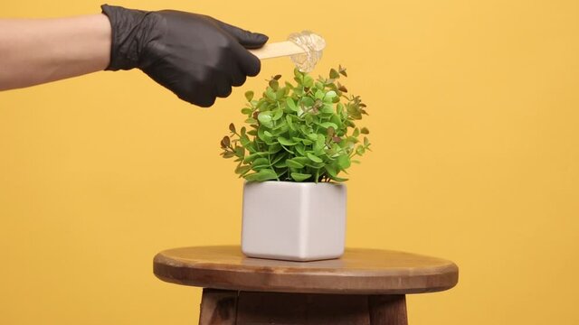 Depilation concept. Female hand in black gloves on a yellow background with shugaring paste.
