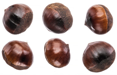 Set of roasted edible chestnut fruits isolated on white background.