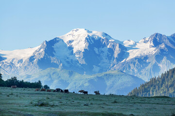 Mountains in Svaneti