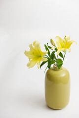 yellow lily in vase