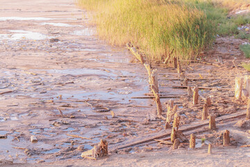 Pink salt lake at the site of an abandoned salt plant at sunset