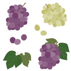ブドウの実と葉のセット
