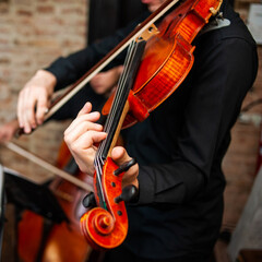A male violinist studies music by notes